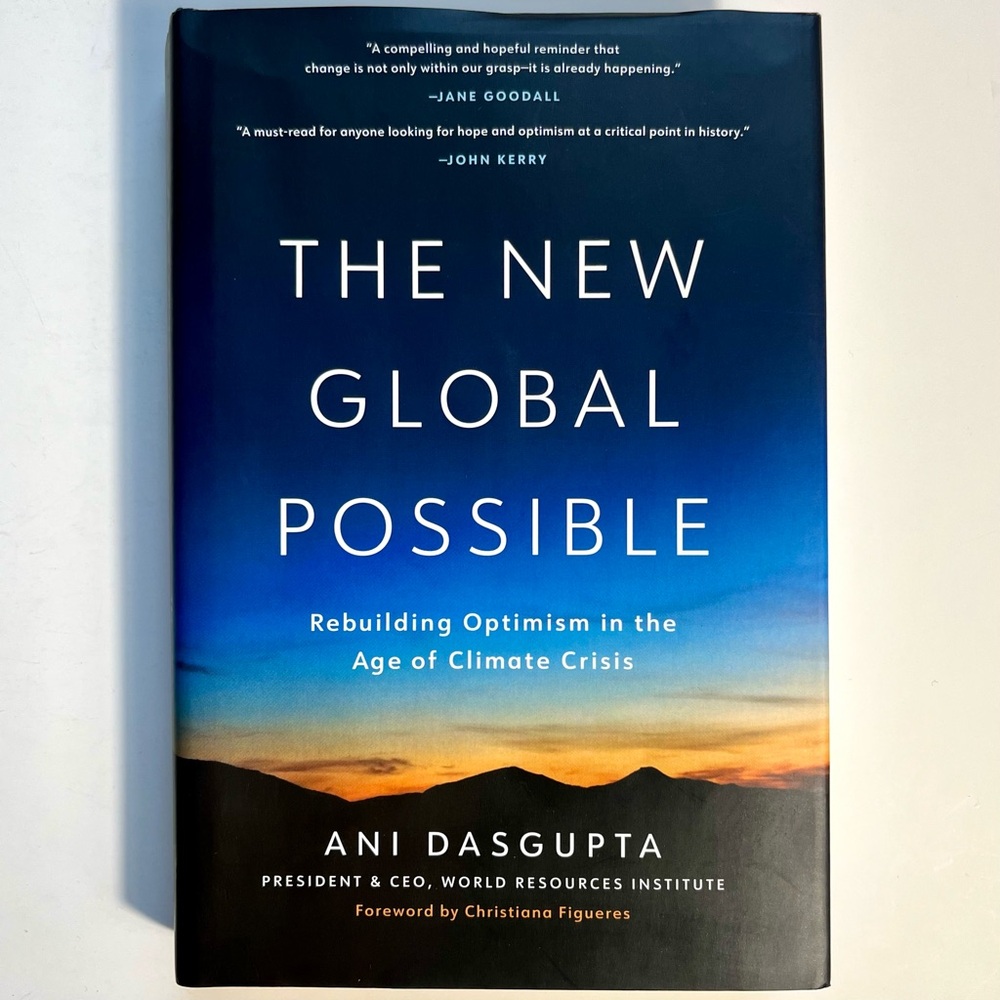 Hardcover Book: The New Global Possible (Ani Dasgupta) Climate 2025